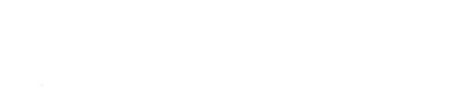 VELLUM